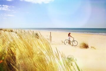 fotonoticia_20160602140314_800