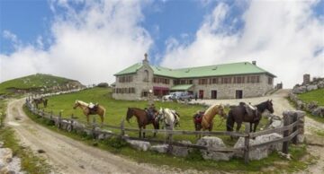 fotonoticia_20160603091625_800