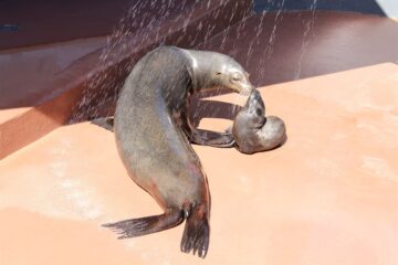 fotonoticia_20160606113414_800