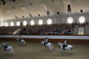 fotonoticia_20160606123710_800