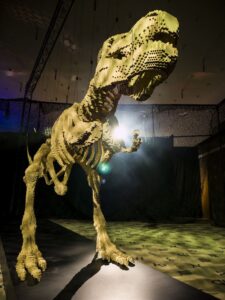 fotonoticia_20160607185815_800