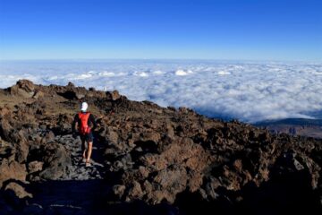 fotonoticia_20160608131619_800