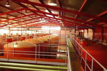 fotonoticia_20160610151634_800