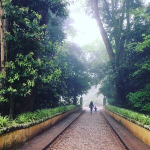 fotonoticia_20160610154934_800