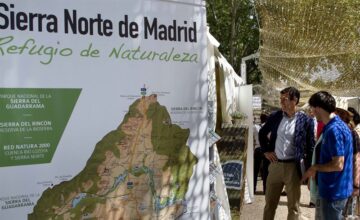 fotonoticia_20160610195945_800