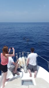 fotonoticia_20160613101625_800