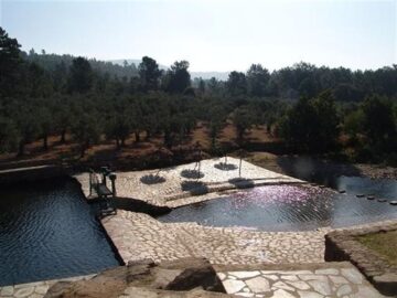 fotonoticia_20160613153652_800