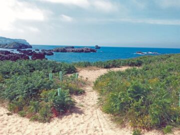 fotonoticia_20160614155954_800