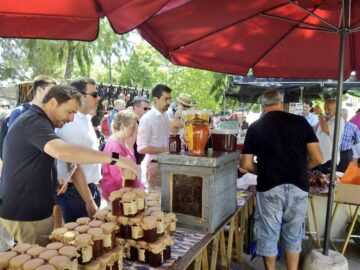 fotonoticia_20160615143910_800