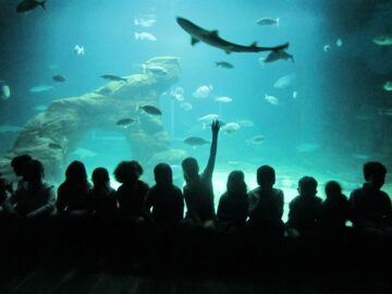 fotonoticia_20160615175933_800