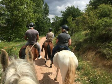 fotonoticia_20160615192636_800