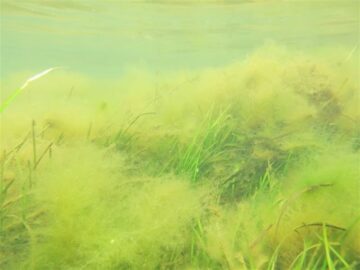 fotonoticia_20160617121042_800