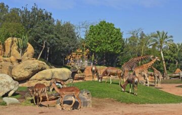 fotonoticia_20160617135148_800