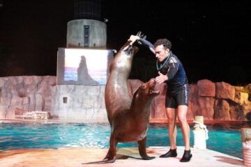 fotonoticia_20160701131650_800