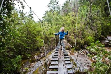 fotonoticia_20160705155714_800