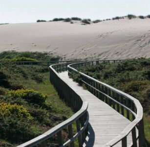 fotonoticia_20160726112926_800