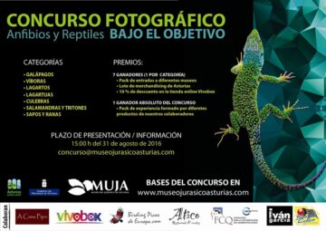 fotonoticia_20160812142410_800