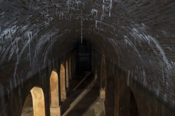 fotonoticia_20160828105952_800