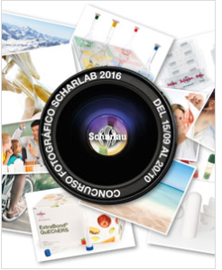 1474033528_imagen_concurso