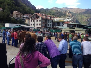 fotonoticia_20160904142953_800