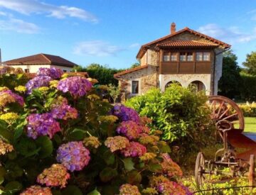 fotonoticia_20160917142140_800