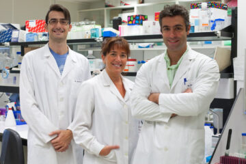 disenan-nuevas-moleculas-contra-el-melanoma_image_380