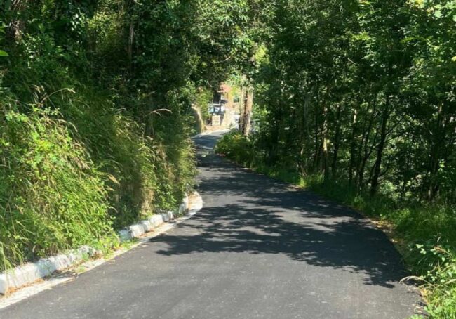 Actualidad obras Salas