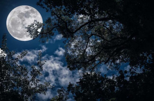 Fases lunares del otoño 2025 en Asturias | El Digital de Asturias Fases lunares del otoño 2025 en Asturias
