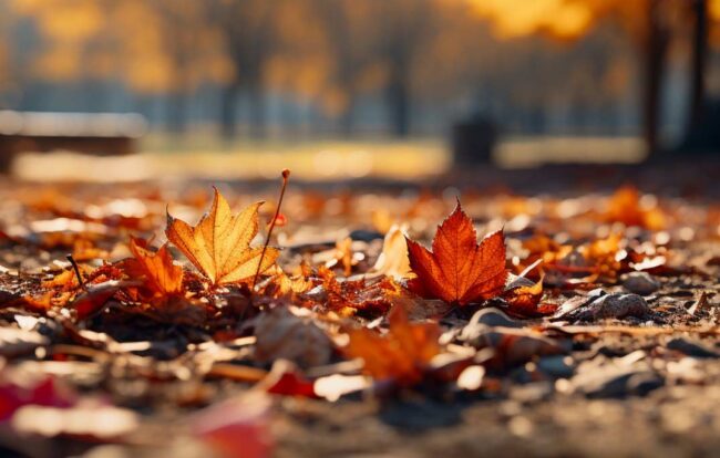 otoño en Asturias