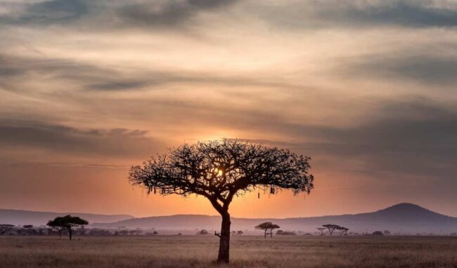 viaje familiar a Tanzania | El Digital de Asturias viaje familiar a Tanzania