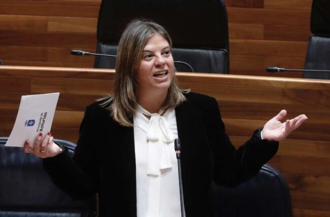 El Principado aprueba la Ley Simplifica