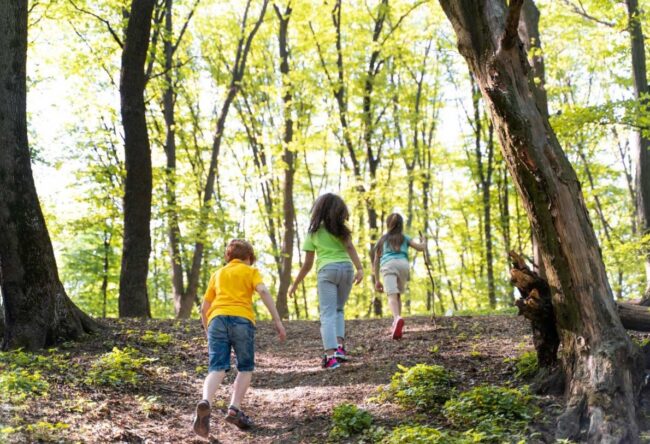 Por qué Cantabria se ha consolidado como uno de los mejores destinos para campamentos