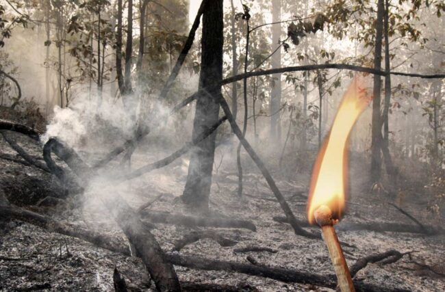 Asturias impartirá 71 jornadas para prevenir incendios