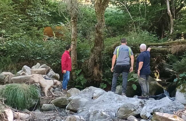 Mejoras en la biosfera de Muniellos